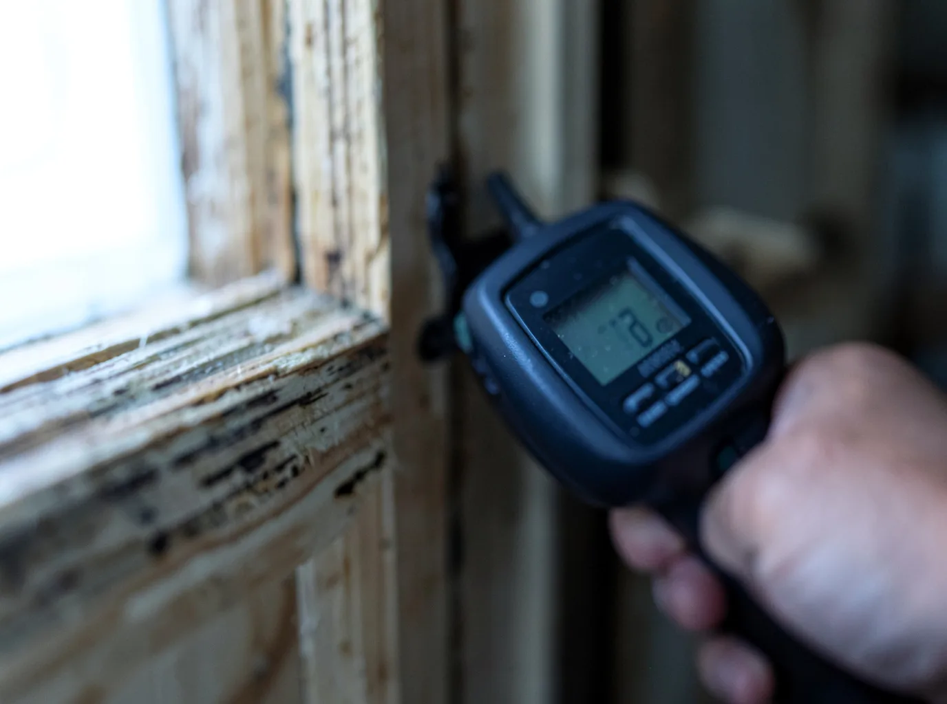 Moisture Inspection And Documentation in Napoleon, IN